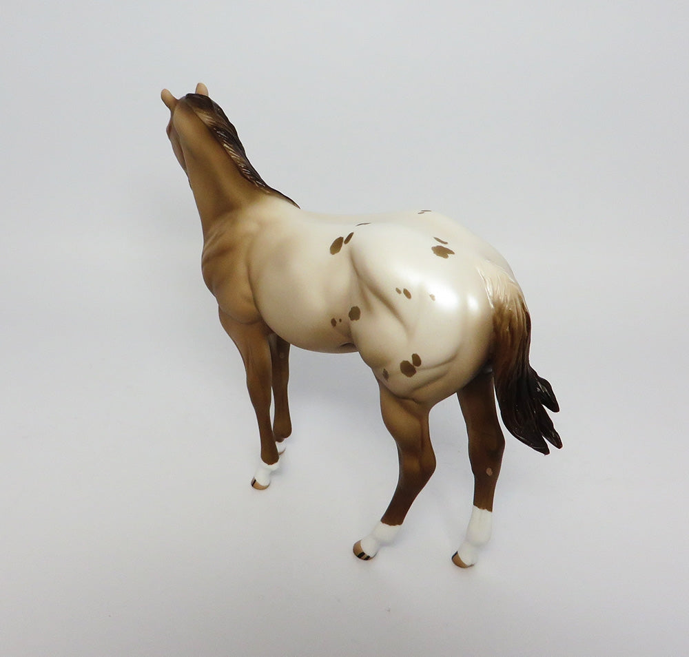 Appaloosa