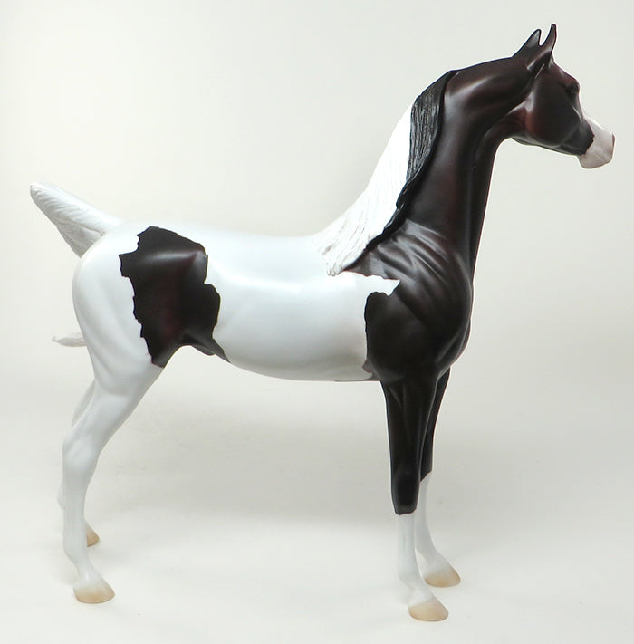THE LOOKER-OOAK BAY PAINT ARABIAN MODEL HORSE 5/20