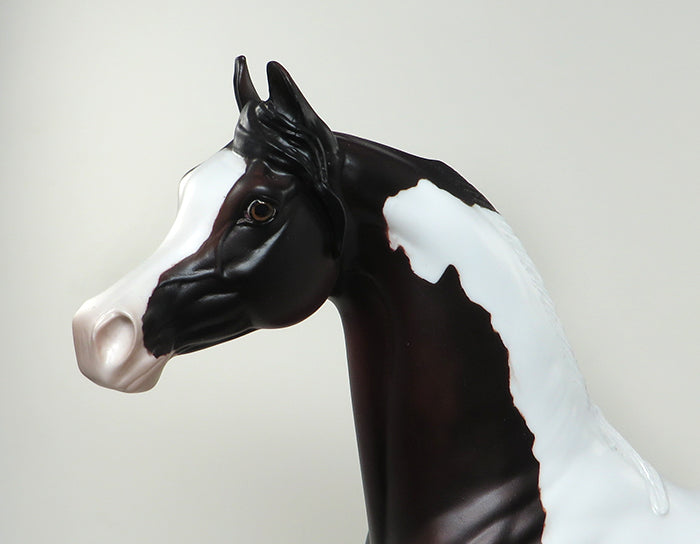 THE LOOKER-OOAK BAY PAINT ARABIAN MODEL HORSE 5/20