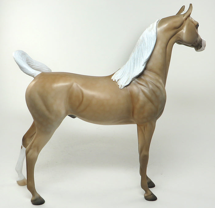 palomino arabian peter stone