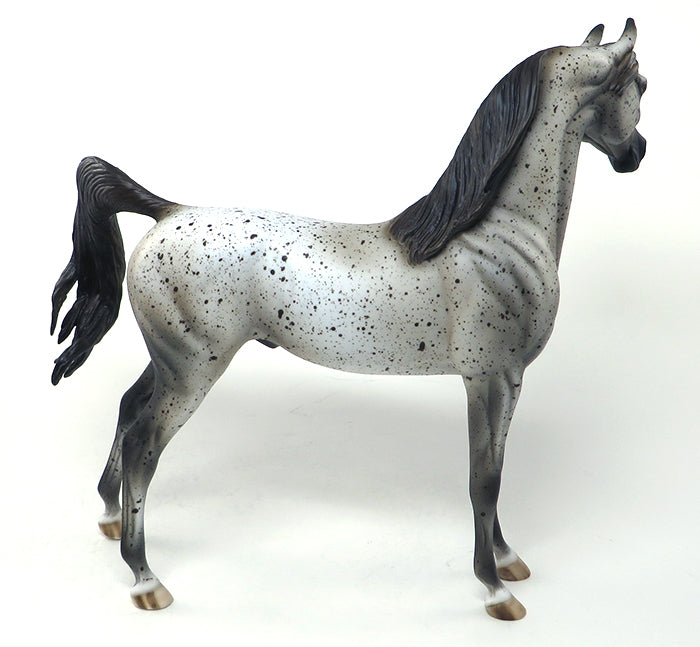 ANTHEM-OOAK FLEA BIT ARABIAN MODEL HORSE 5/20