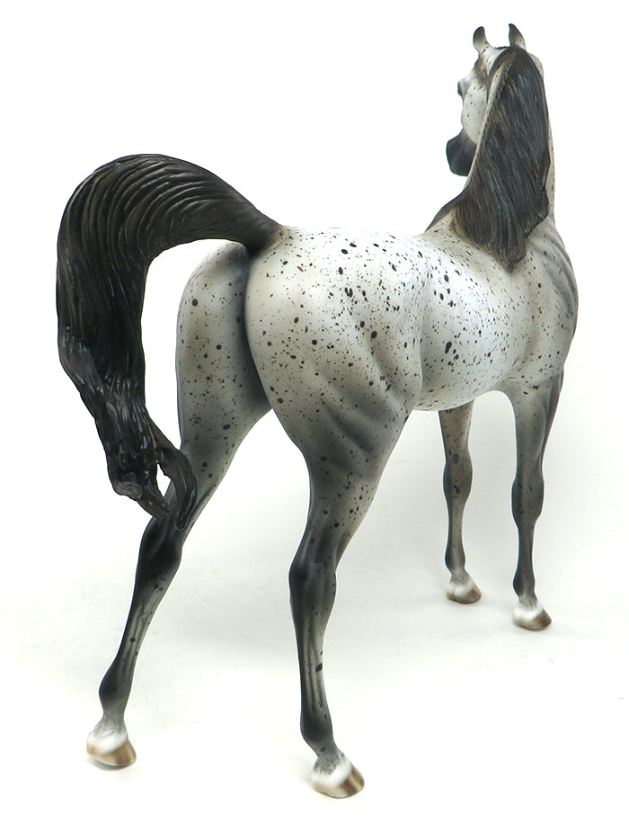 ANTHEM-OOAK FLEA BIT ARABIAN MODEL HORSE 5/20