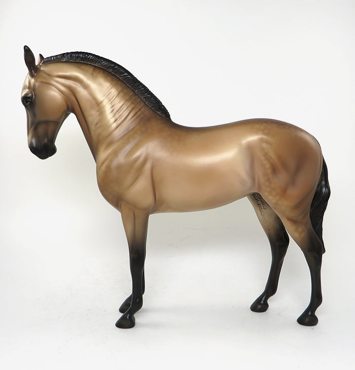 buckskin andalusian