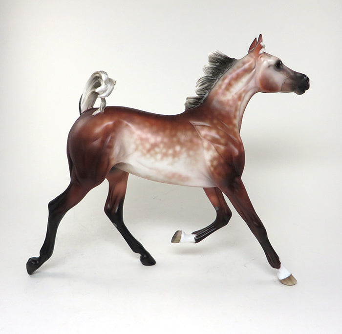 CONTESSA-OOAK SILVER BAY GOING GREY ARABIAN YEARLING MODEL HORSE 5/20
