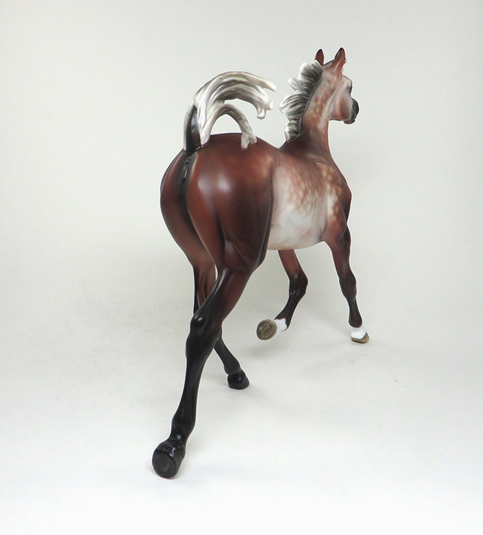 CONTESSA-OOAK SILVER BAY GOING GREY ARABIAN YEARLING MODEL HORSE 5/20