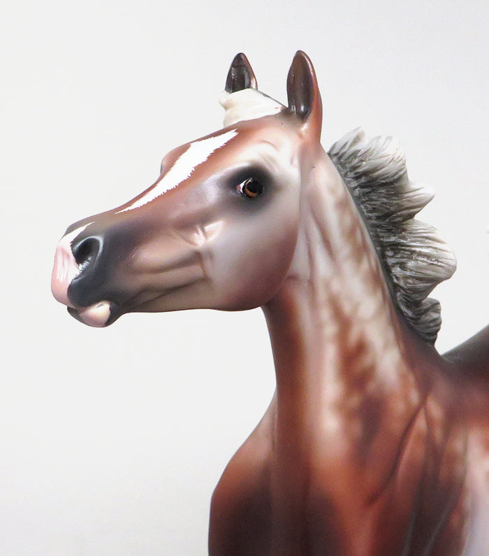 CONTESSA-OOAK SILVER BAY GOING GREY ARABIAN YEARLING MODEL HORSE 5/20