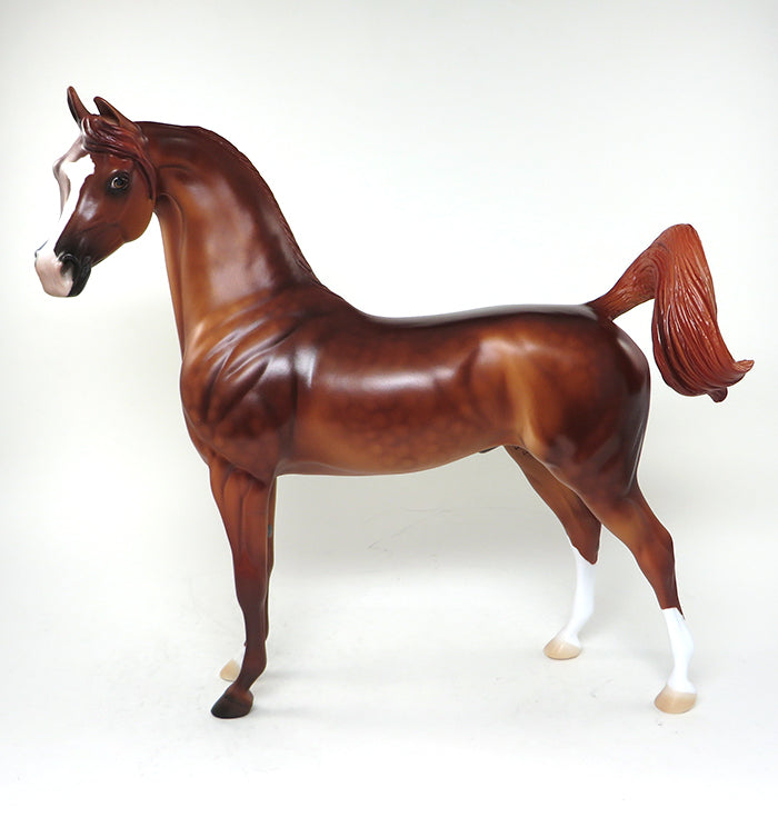 omena chestnut arabian