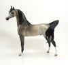 GALILAHI - LE3 Light Gray  Arabian 8/21