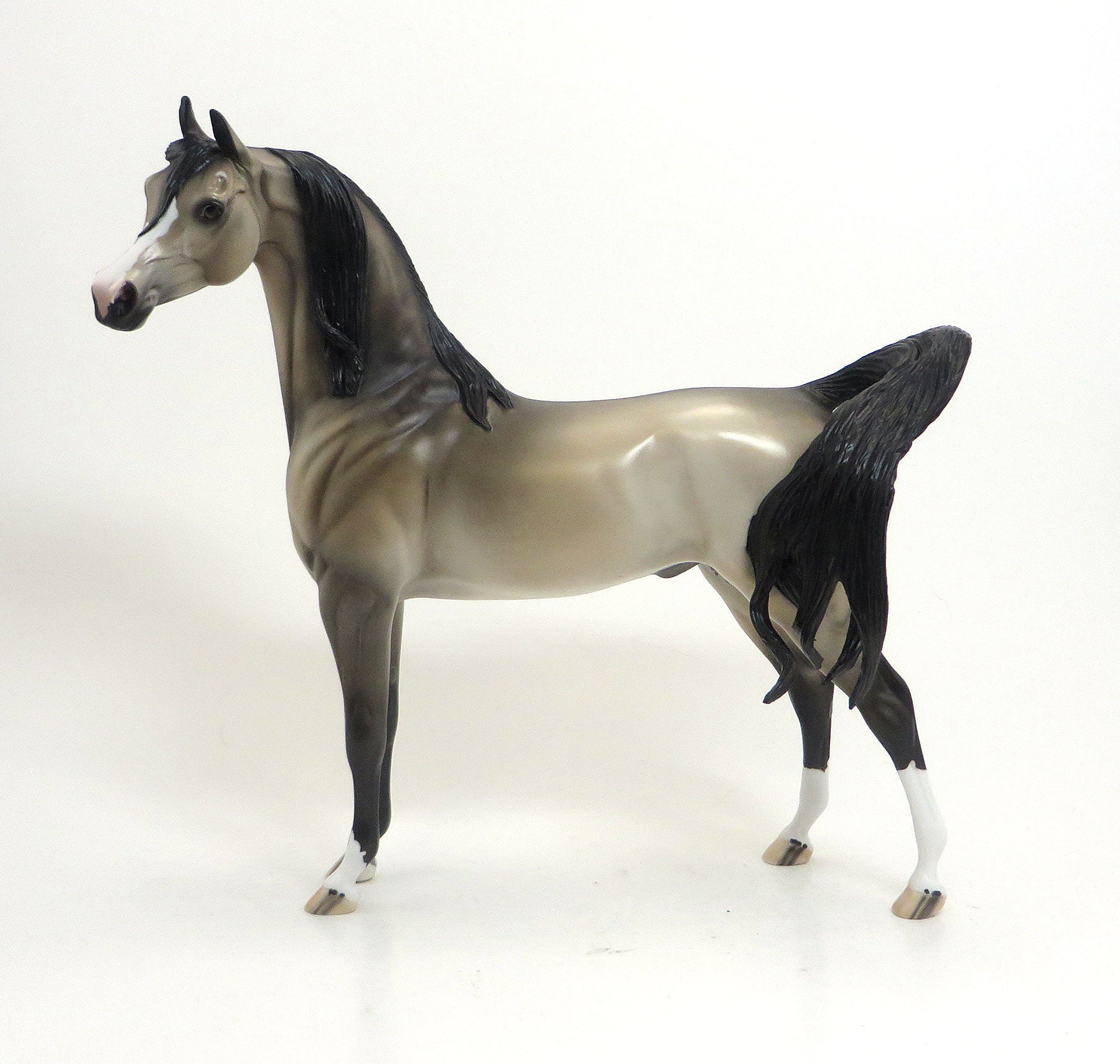 GALILAHI - LE3 Light Gray  Arabian 8/21