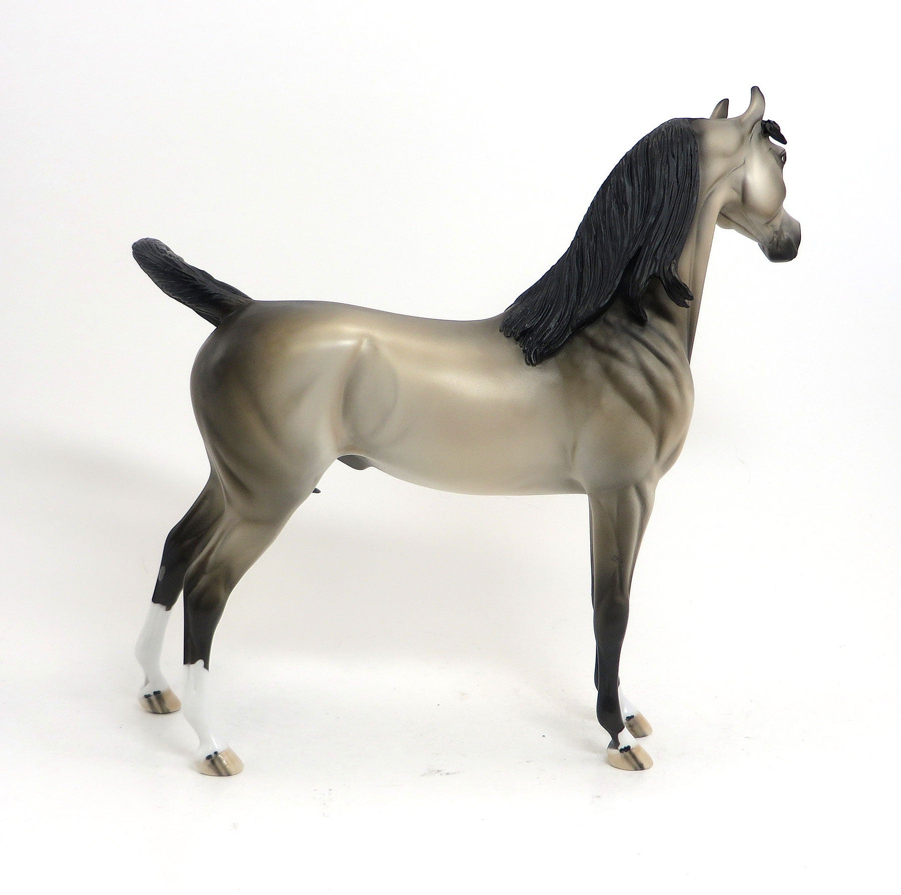 GALILAHI - LE3 Light Gray  Arabian 8/21