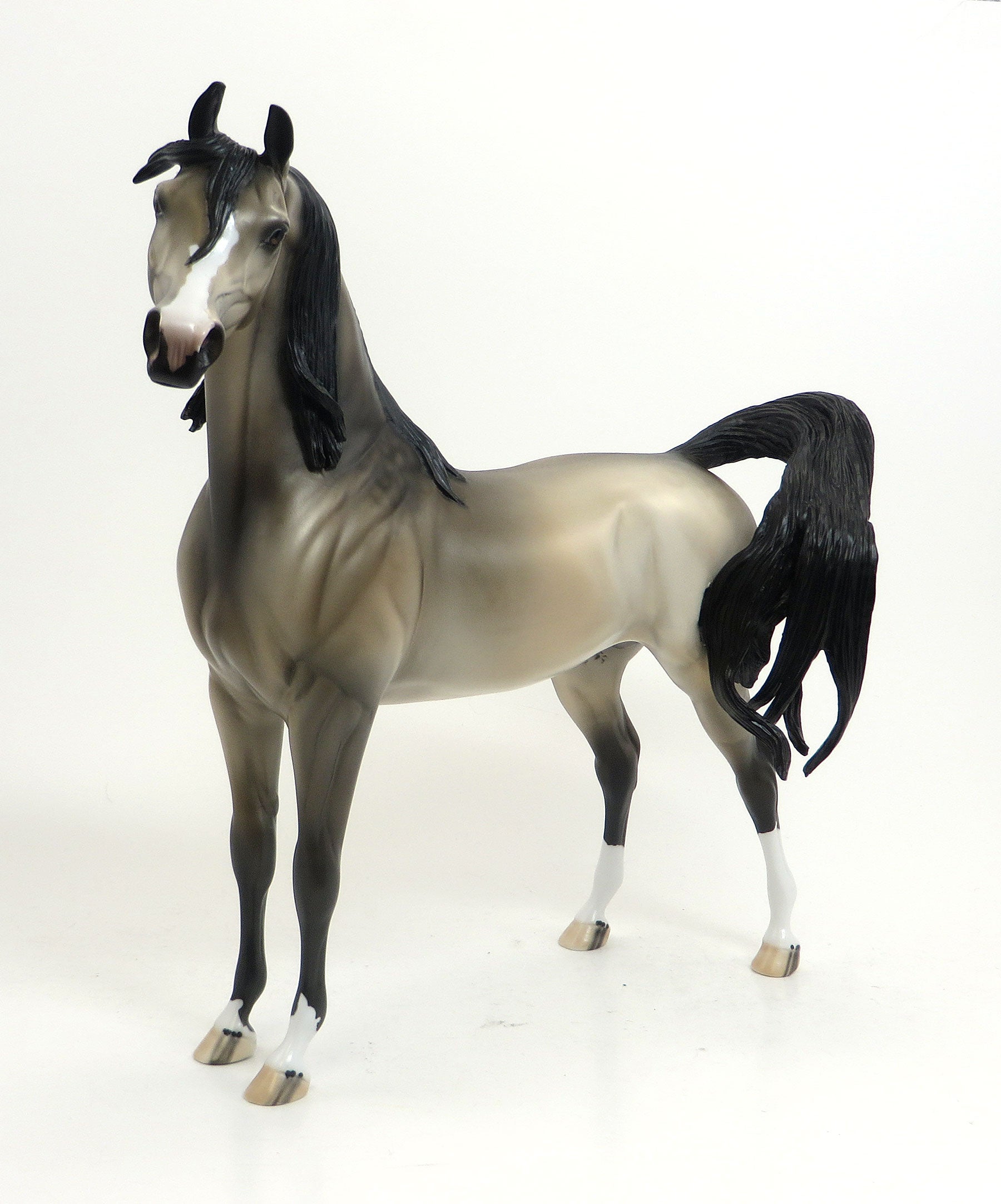 GALILAHI - LE3 Light Gray  Arabian 8/21