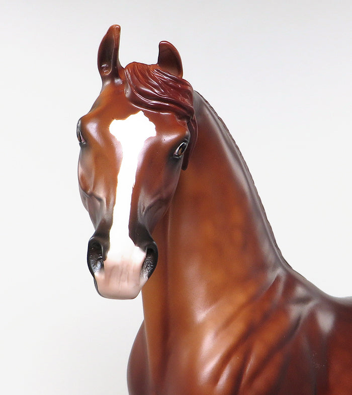 arabian model horse omena