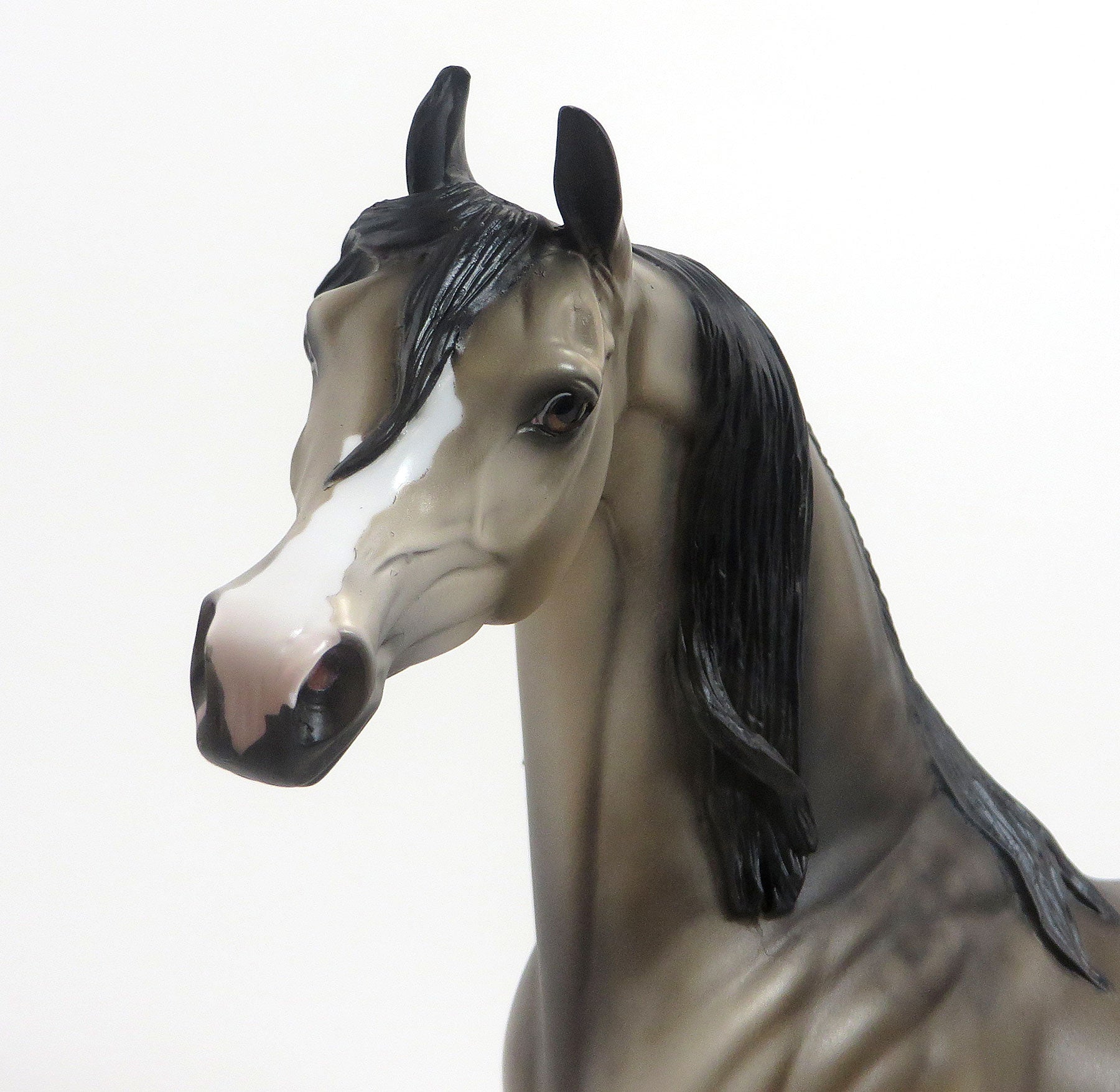 GALILAHI - LE3 Light Gray  Arabian 8/21