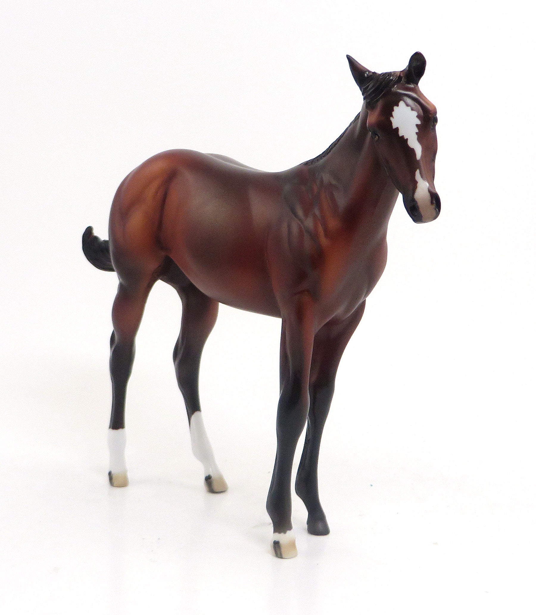 LIL LISA - OOAK Bay Weanling 8/21