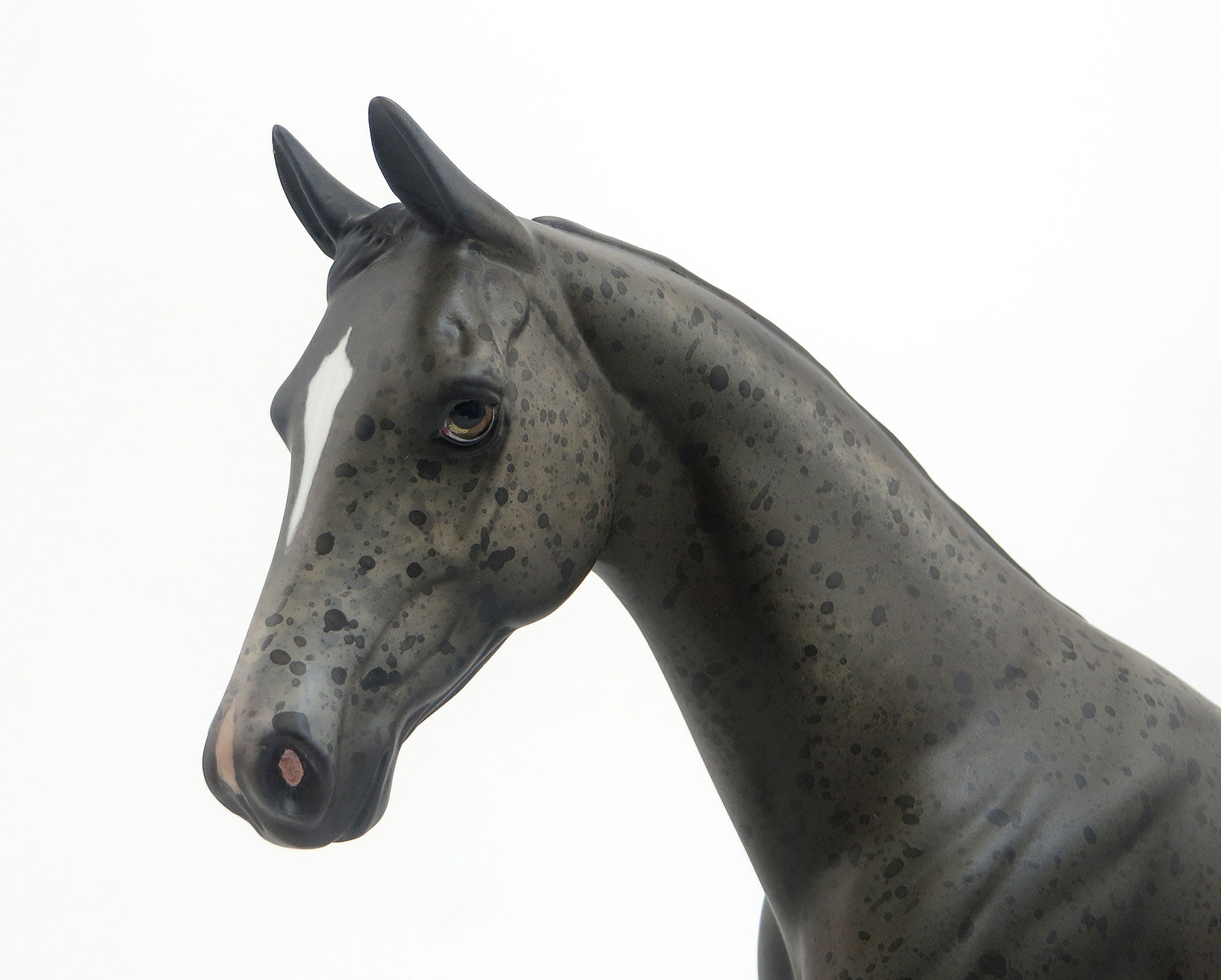 SPECKLES- OOAK Seal Bay Roan Pony 9/28