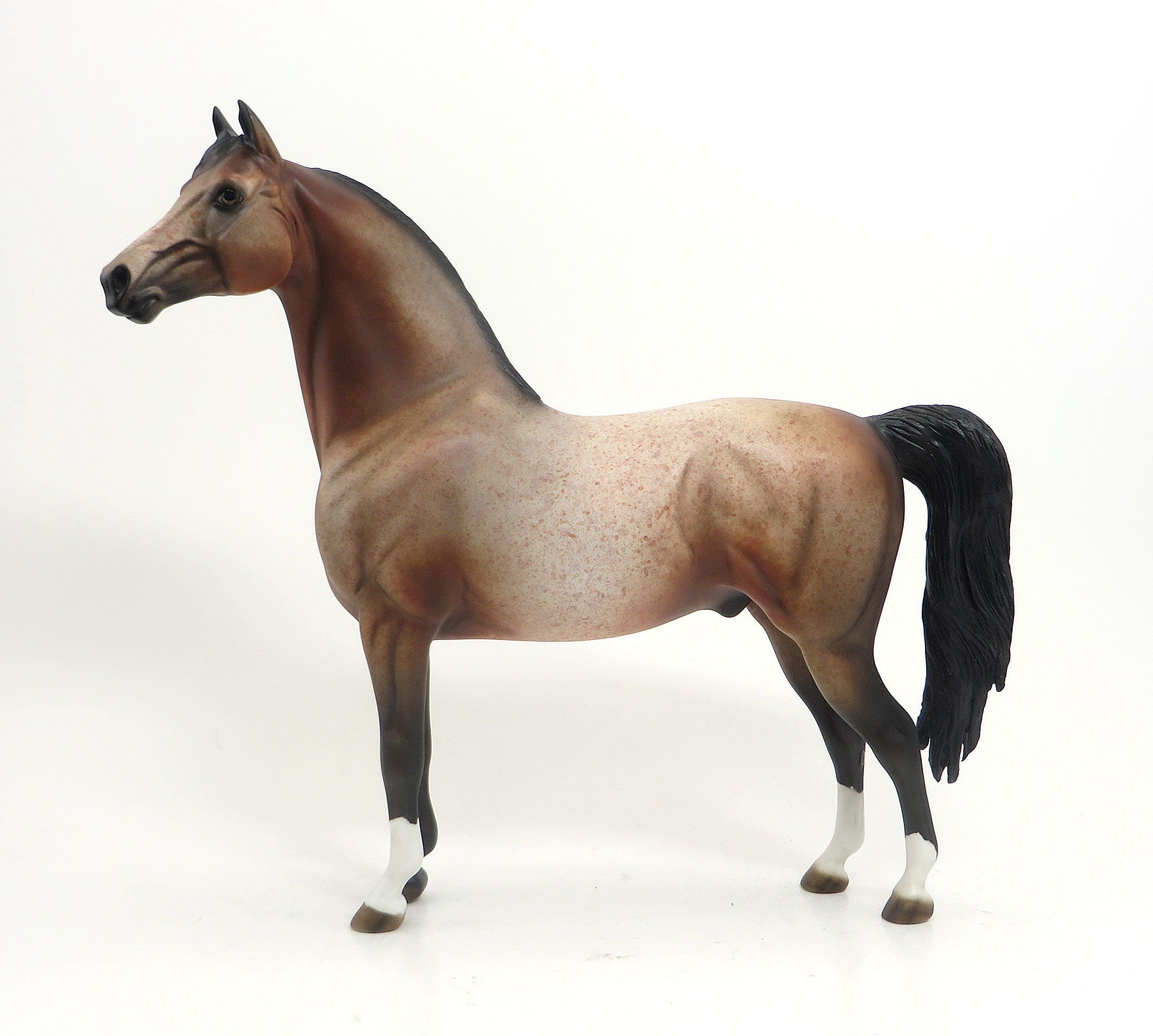 JAILBIRD - OOAK Chestnut Roan Morgan 8/21