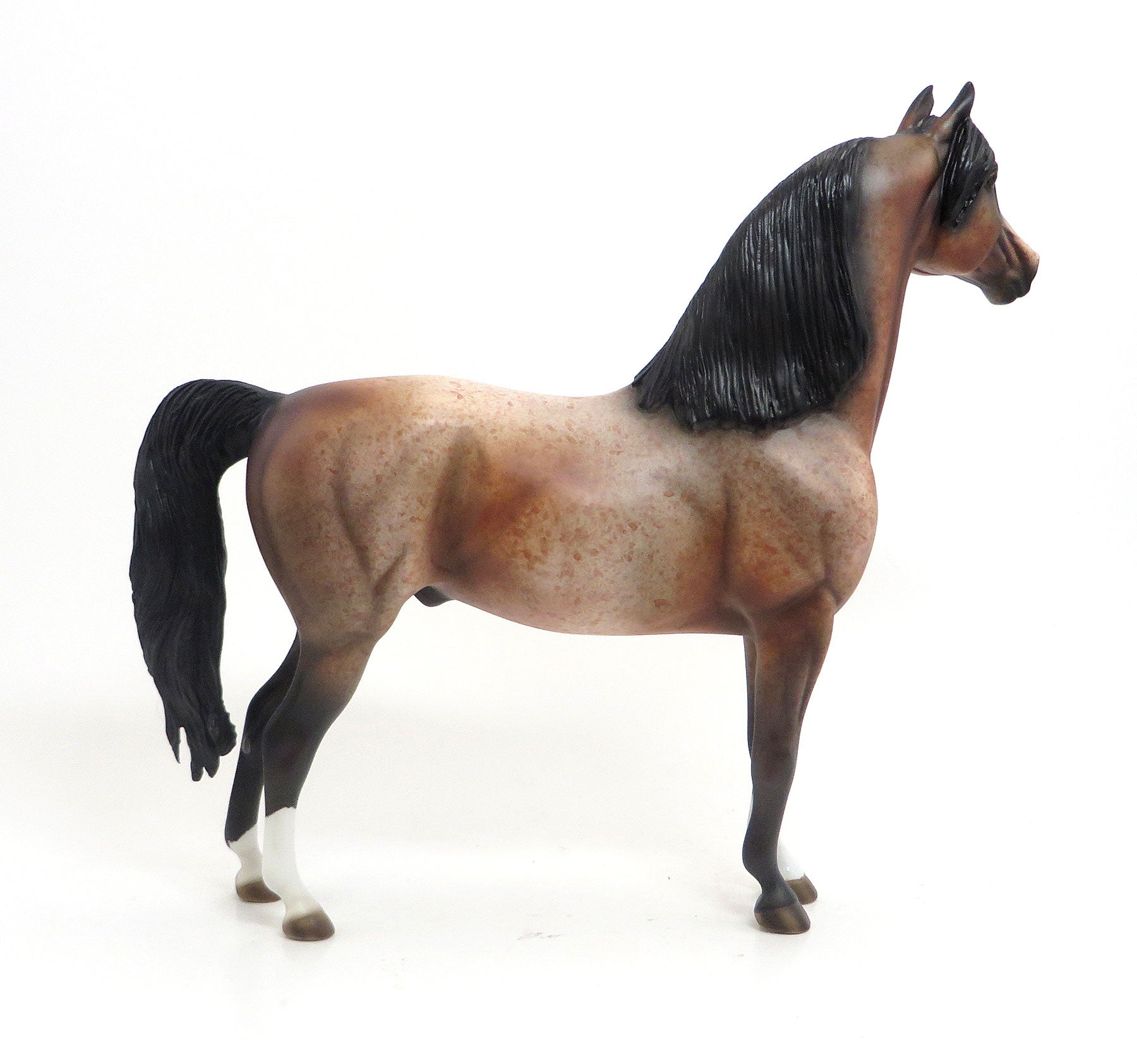 JAILBIRD - OOAK Chestnut Roan Morgan 8/21