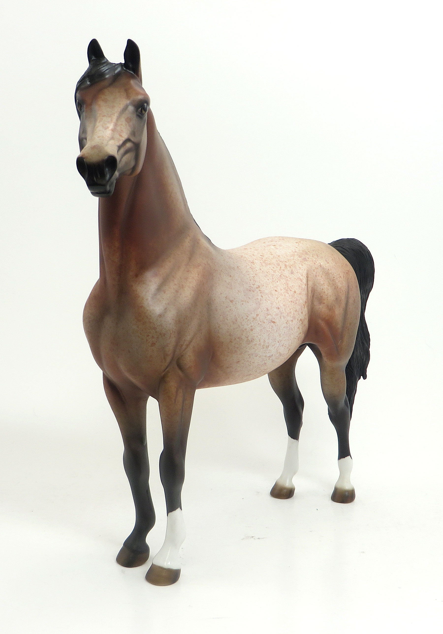 JAILBIRD - OOAK Chestnut Roan Morgan 8/21