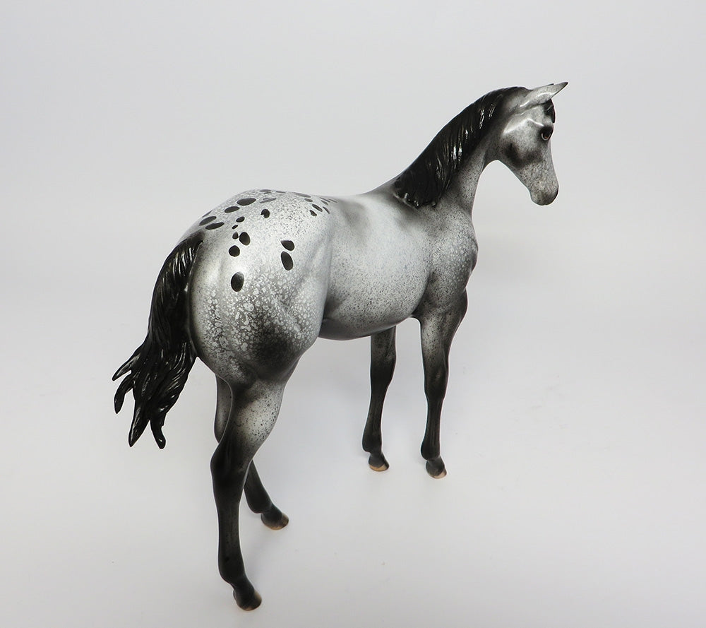 Appaloosa