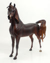 NIGHT VISION - LE6 Dappled Chestnut Arabian 8/21