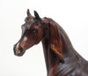 NIGHT VISION - LE6 Dappled Chestnut Arabian 8/21