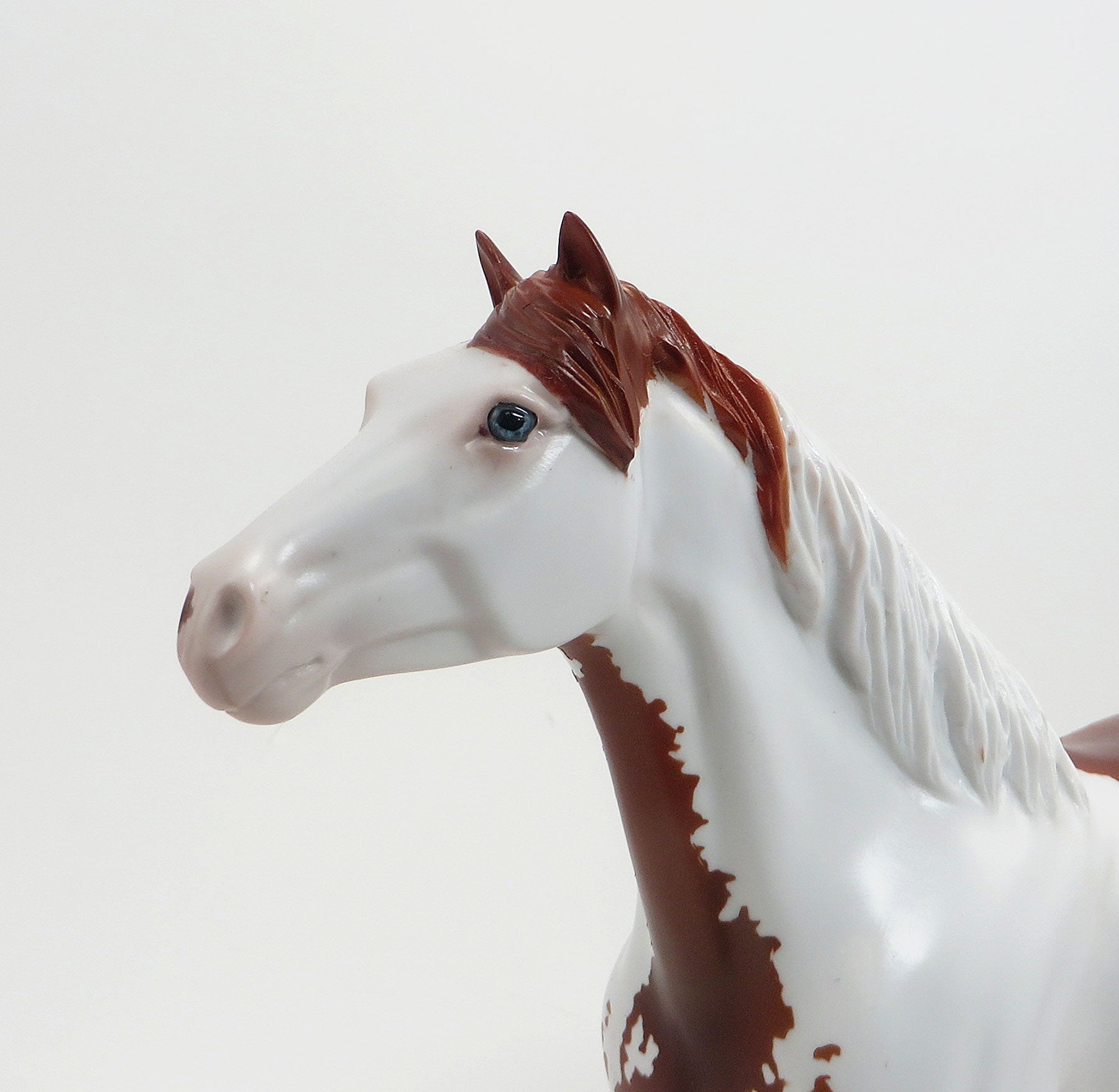 OURAY ARROW - OOAK  Chestnut Framed Overo Mustang 8/21