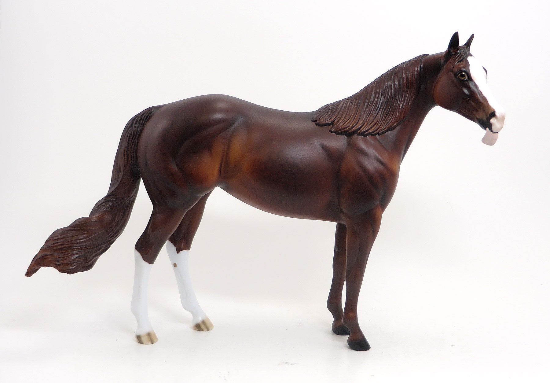 MOCHNI - LE5 Dapple Chestnut Stock Horse Mare W/Tongue Sticking out 8/21