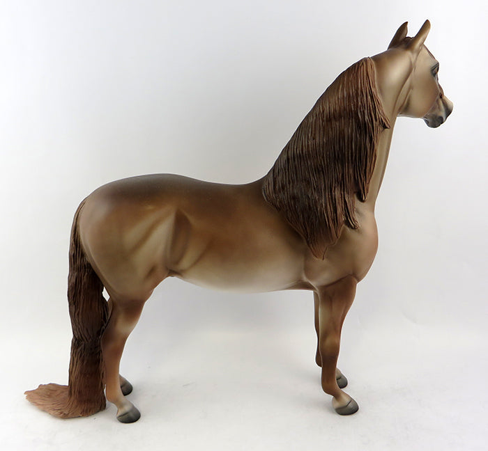 Morgan Horse