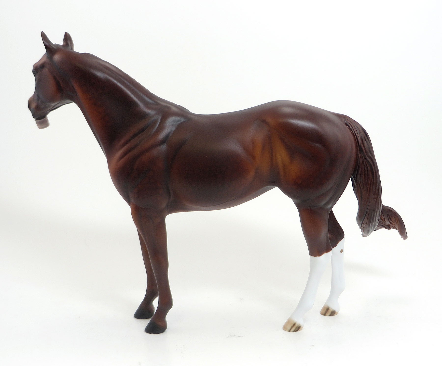 MOCHNI - LE5 Dapple Chestnut Stock Horse Mare W/Tongue Sticking out 8/21