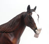 MOCHNI - LE5 Dapple Chestnut Stock Horse Mare W/Tongue Sticking out 8/21