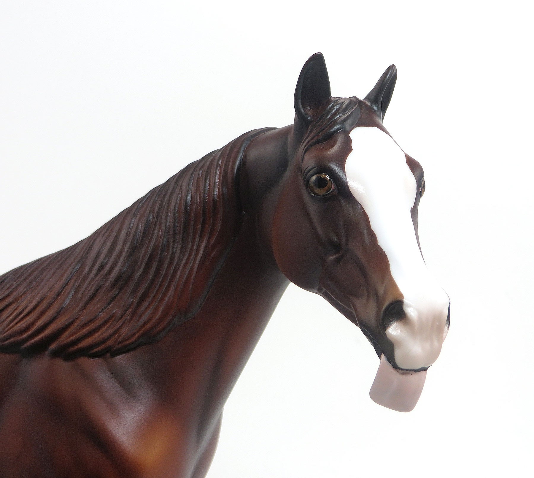 MOCHNI - LE5 Dapple Chestnut Stock Horse Mare W/Tongue Sticking out 8/21