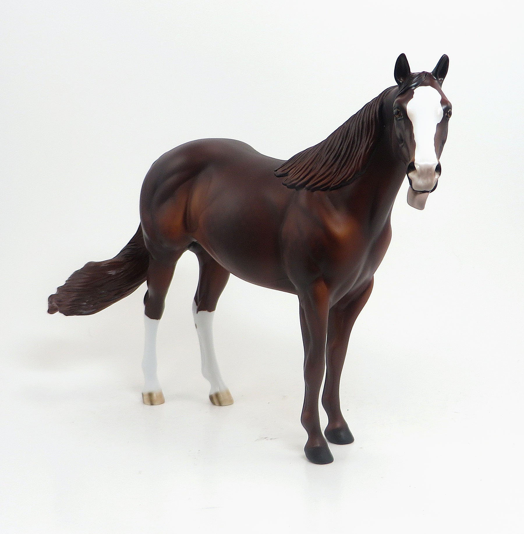 MOCHNI - LE5 Dapple Chestnut Stock Horse Mare W/Tongue Sticking out 8/21