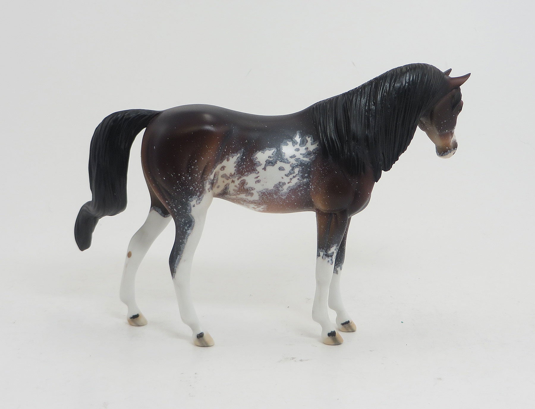 CHAR - OOAK Seal Bay Roan Sabino Pebbles Arabian