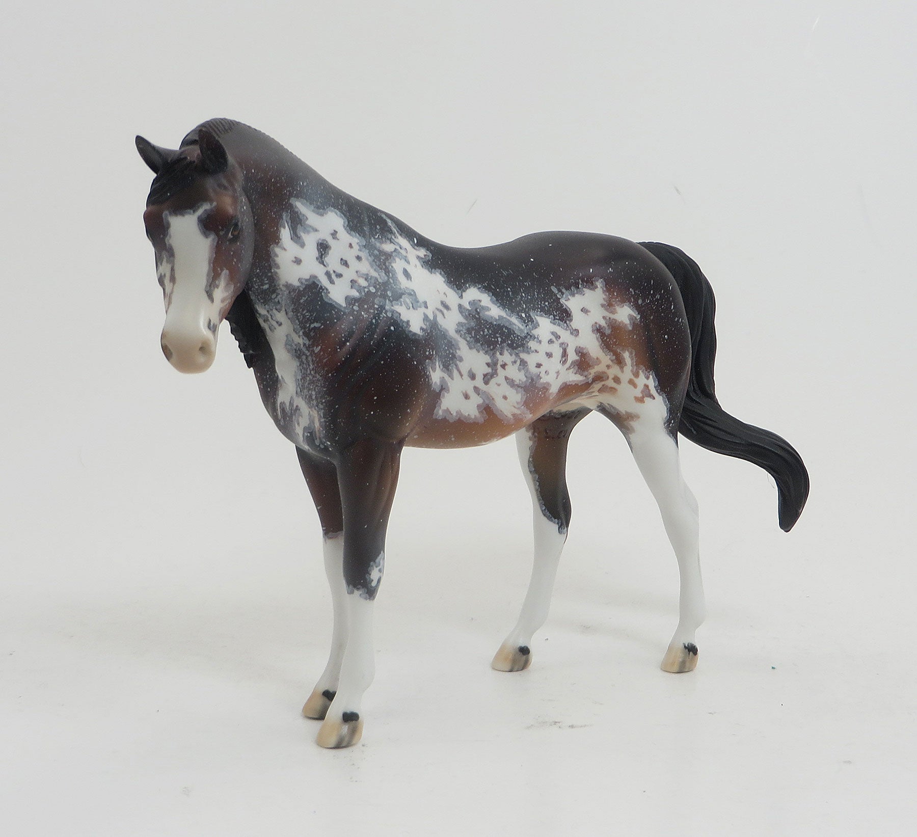 CHAR - OOAK Seal Bay Roan Sabino Pebbles Arabian