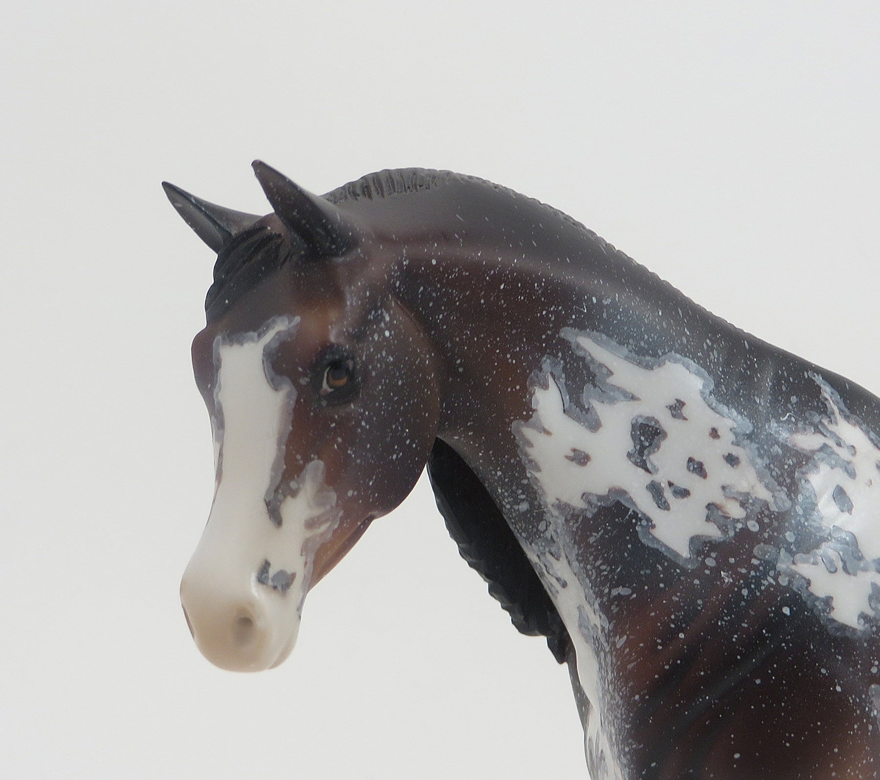 CHAR - OOAK Seal Bay Roan Sabino Pebbles Arabian