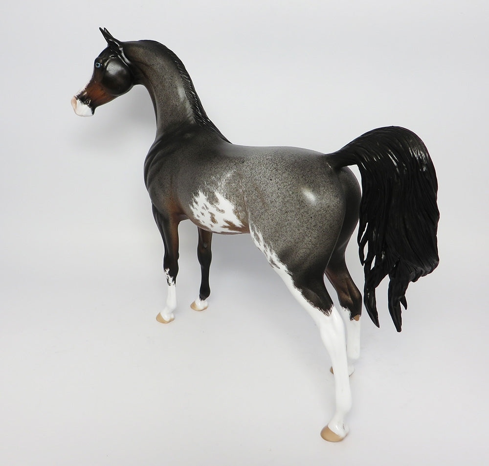 GONE VIRAL~OOAK ETCHED ROAN PINTABIAN MODEL HORSE BY DAWN QUICK 10/12/17