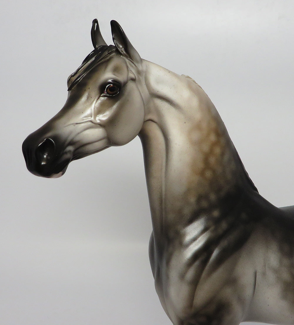 KNIGHT VISION~OOAK DARK DAPPLE GREY ARABIAN MODEL HORSE BY DAWN QUICK 10/12/17