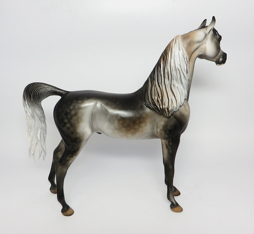 KNIGHT VISION~OOAK DARK DAPPLE GREY ARABIAN MODEL HORSE BY DAWN QUICK 10/12/17