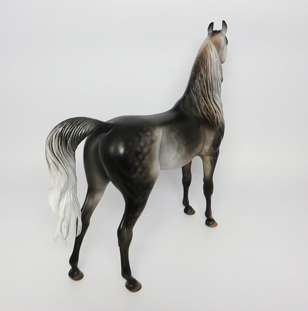 KNIGHT VISION~OOAK DARK DAPPLE GREY ARABIAN MODEL HORSE BY DAWN QUICK 10/12/17