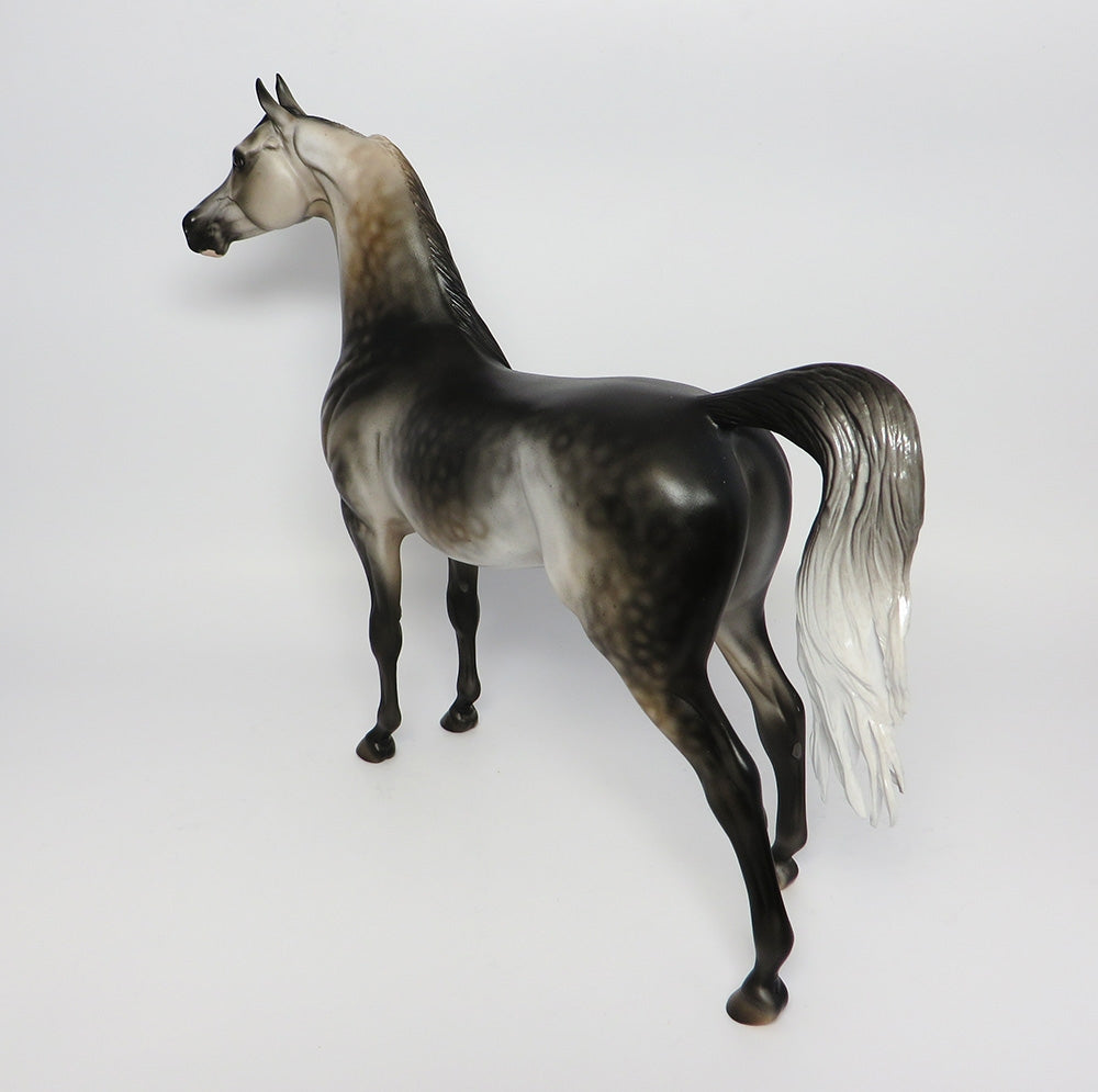 KNIGHT VISION~OOAK DARK DAPPLE GREY ARABIAN MODEL HORSE BY DAWN QUICK 10/12/17