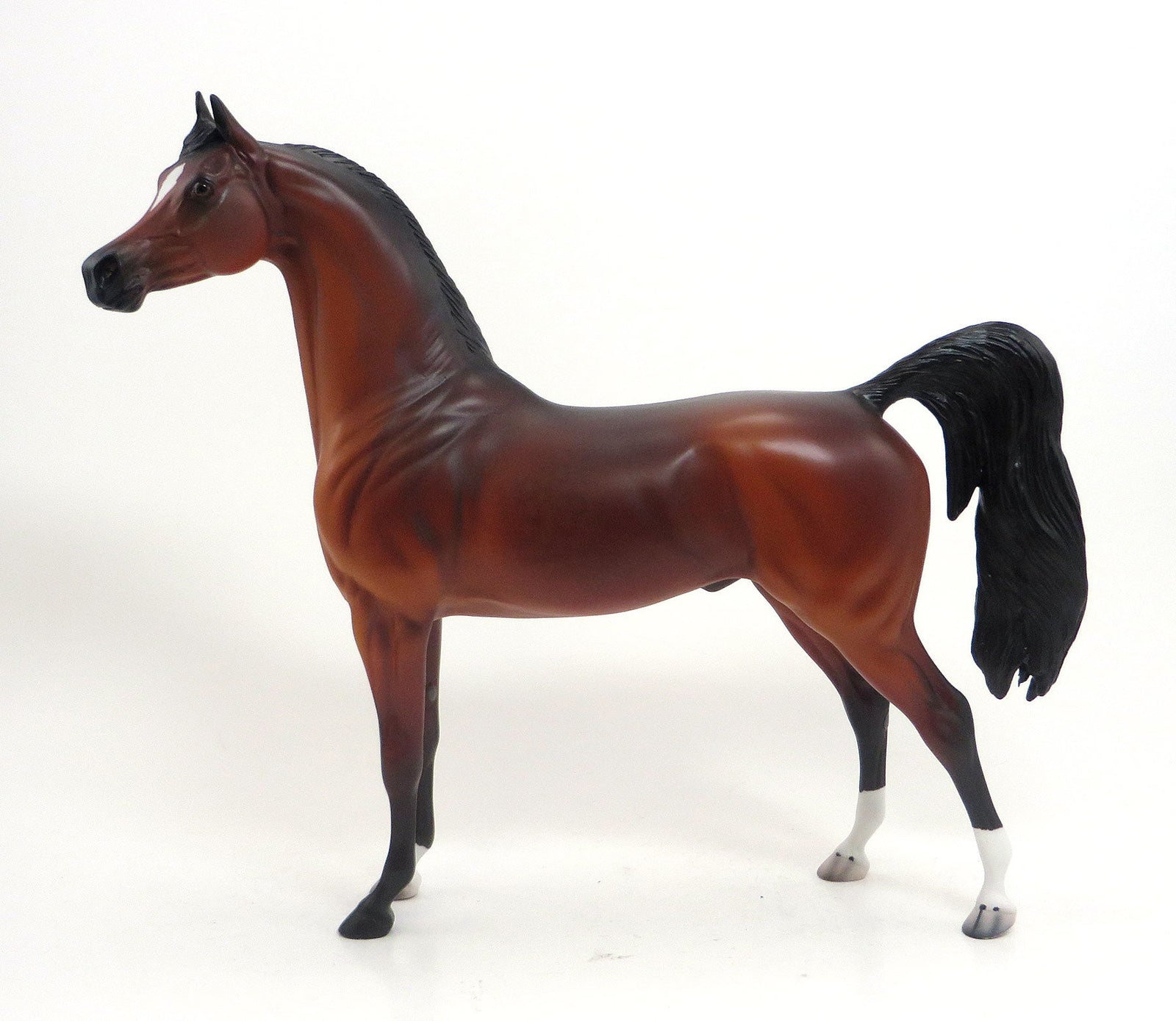 BRAZOS - LE 4 Cherry Red Bay Arabian 8/21