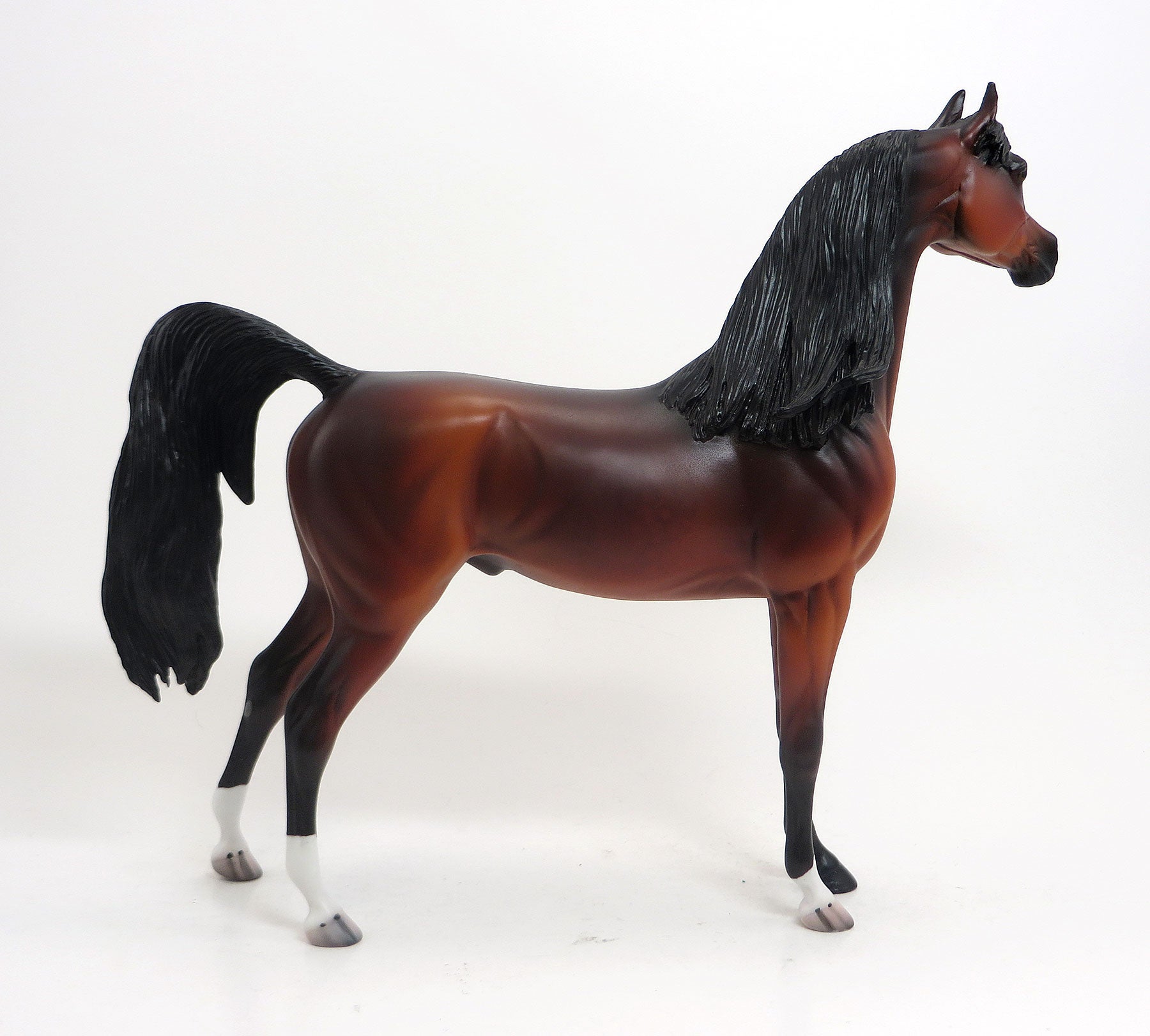 BRAZOS - LE 4 Cherry Red Bay Arabian 8/21