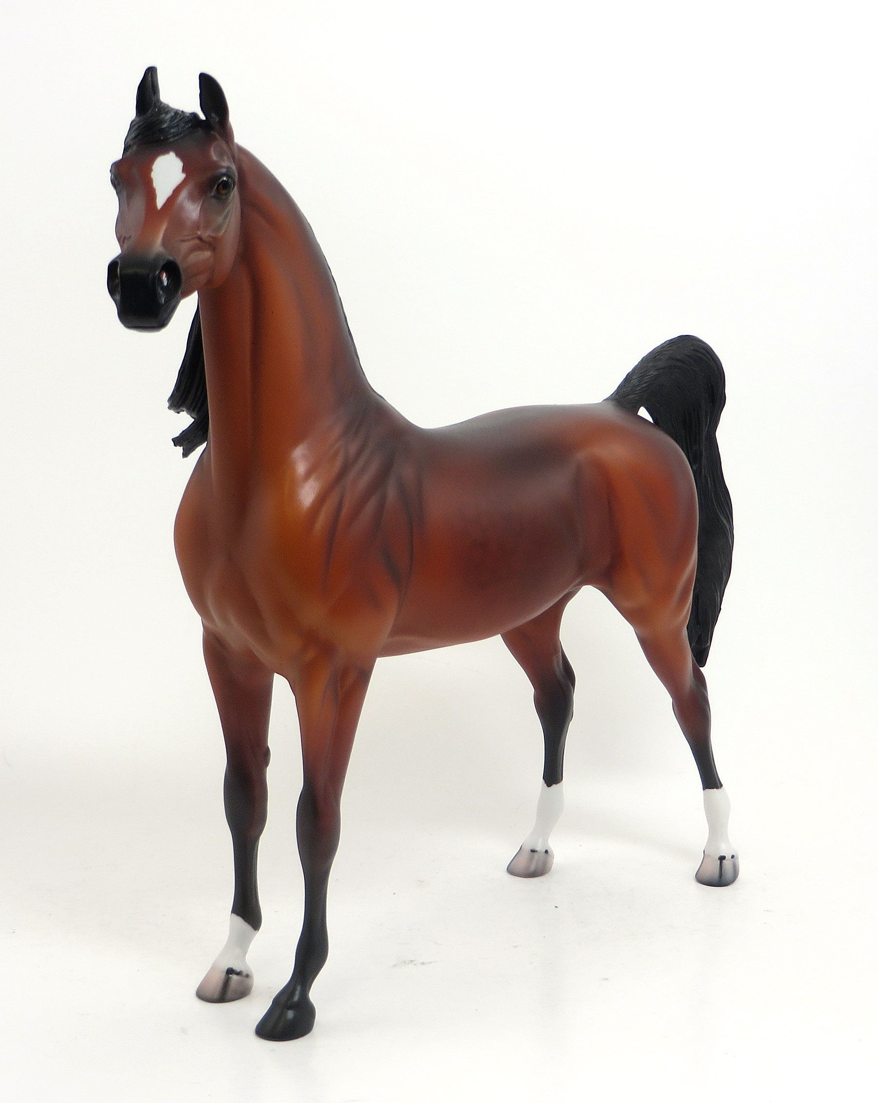 BRAZOS - LE 4 Cherry Red Bay Arabian 8/21