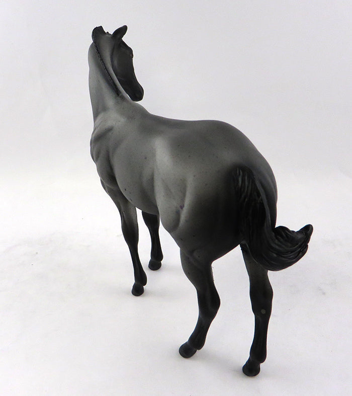 MOON STAR-OOAK BLUE ROAN WEANLING MODEL HORSE 11/10/16