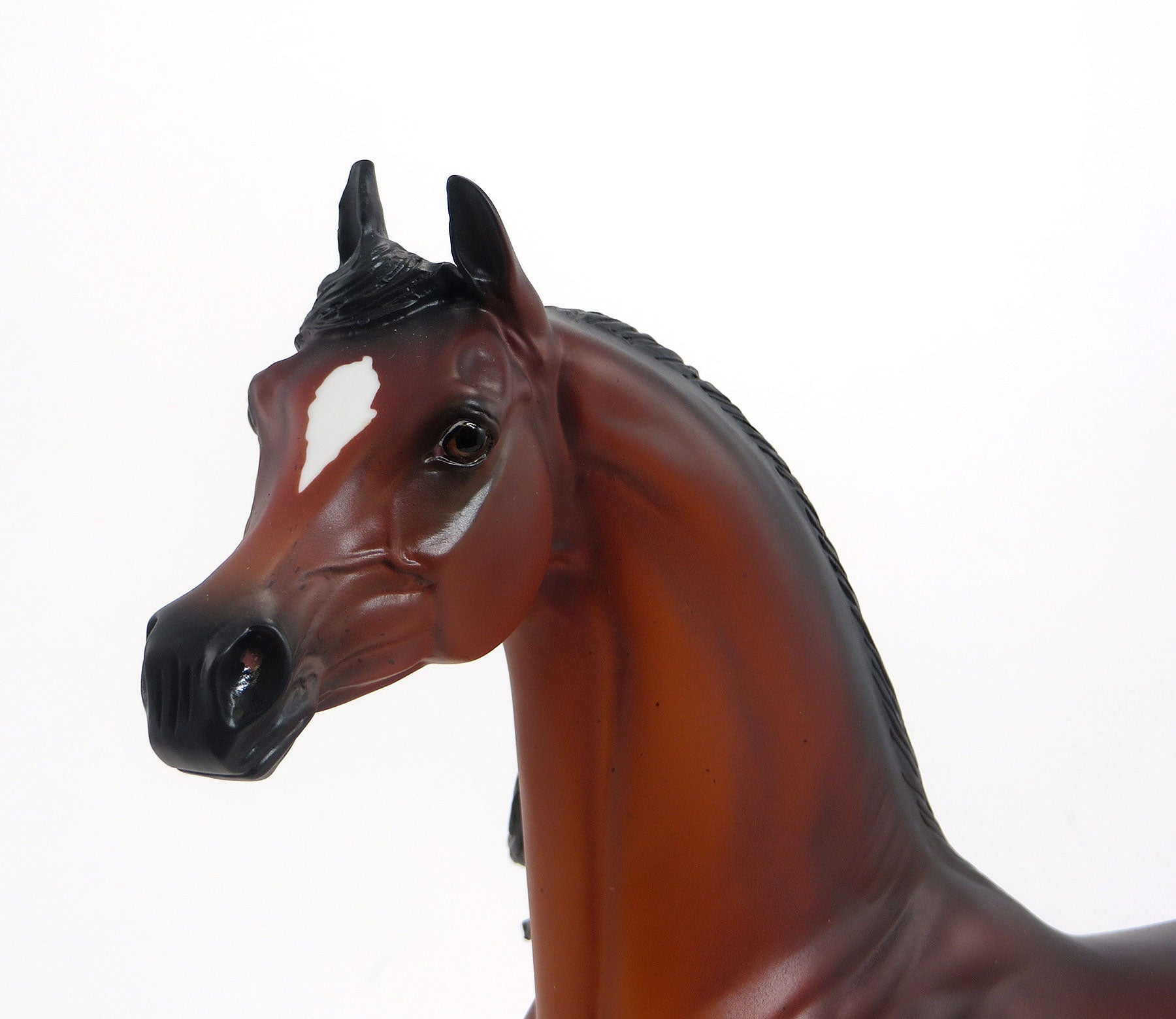 BRAZOS - LE 4 Cherry Red Bay Arabian 8/21