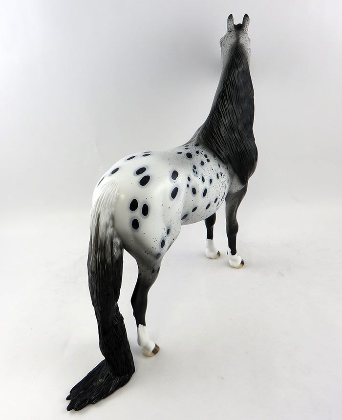Appaloosa