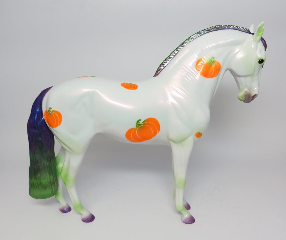 My Little Pumpkin (Andalusian)