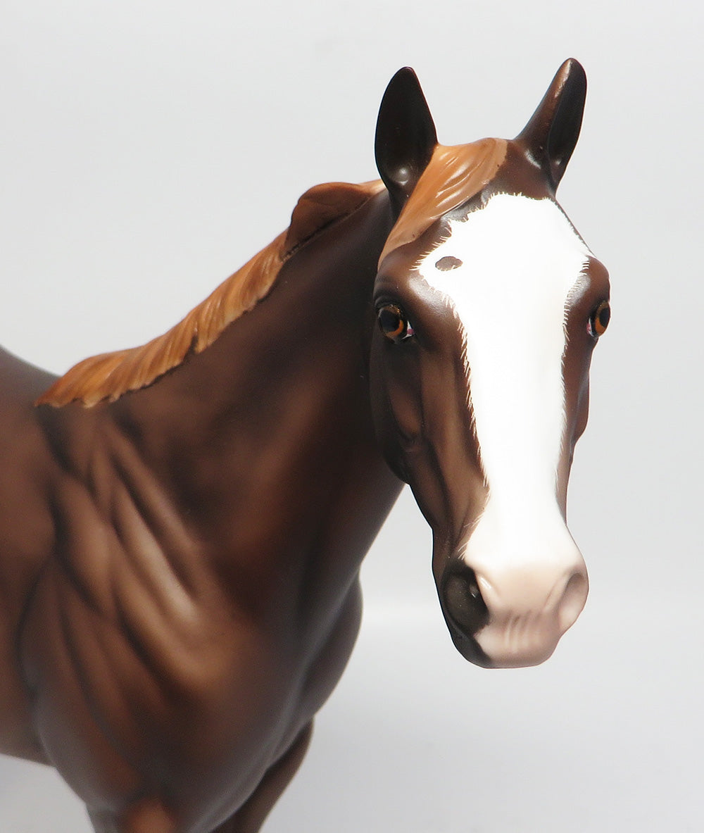 SLING SHOT~OOAK DAPPLE LIVER CHESTNUT ISH MODEL HORSE BY SHERYL LEISURE 4/12