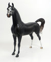 DAWAR #1- LE4 Each W/Unique Markings Dappled Black Arabian 8/21