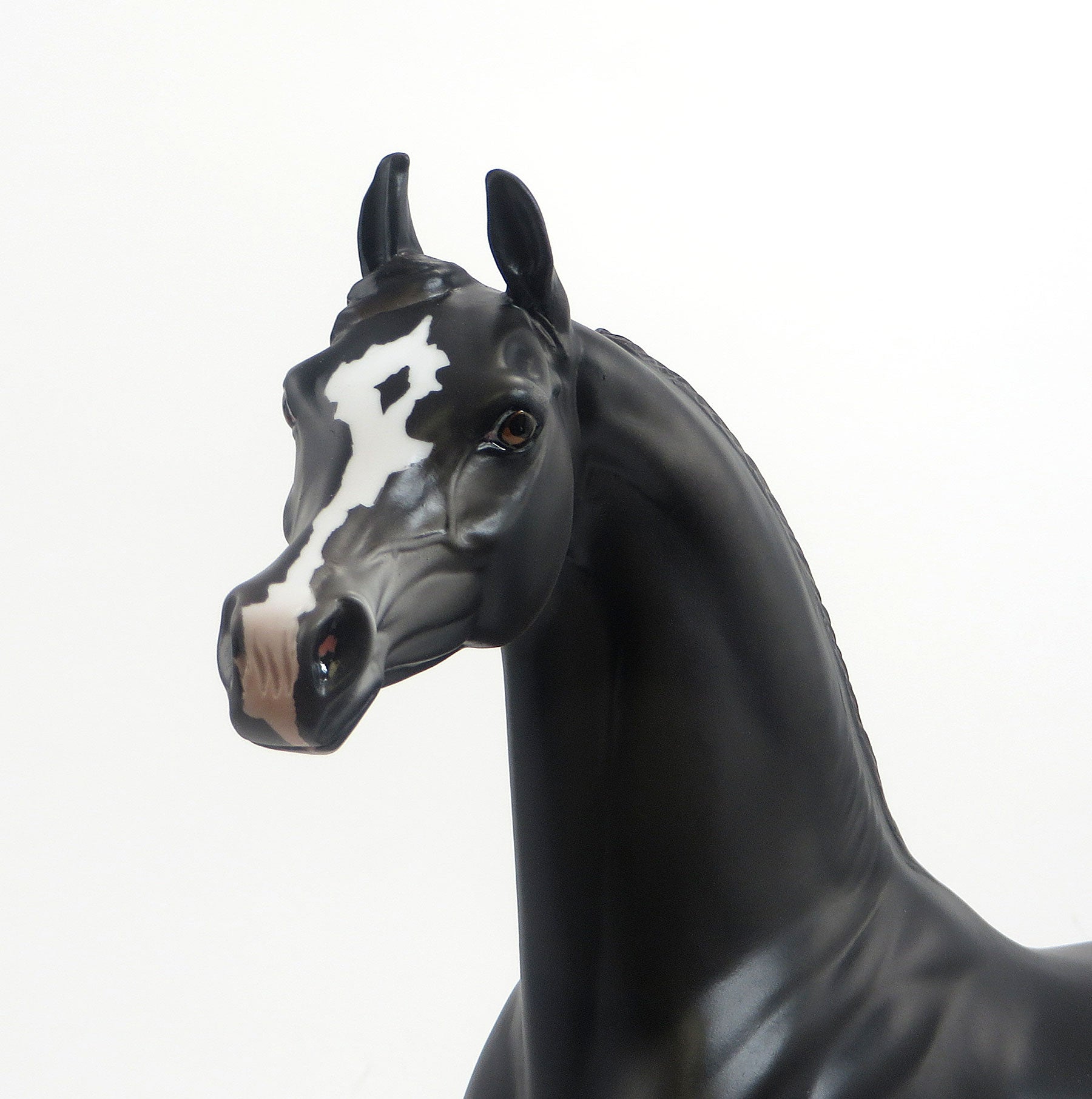 DAWAR #1- LE4 Each W/Unique Markings Dappled Black Arabian 8/21